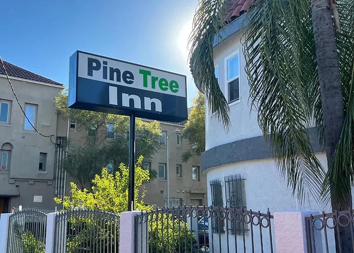 All Motels Pine Tree Inn